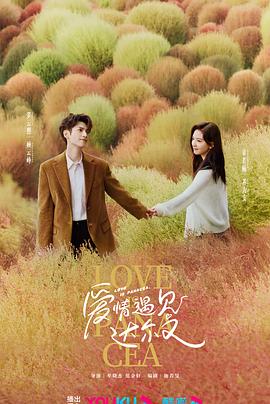 新乡网站优化靠谱的